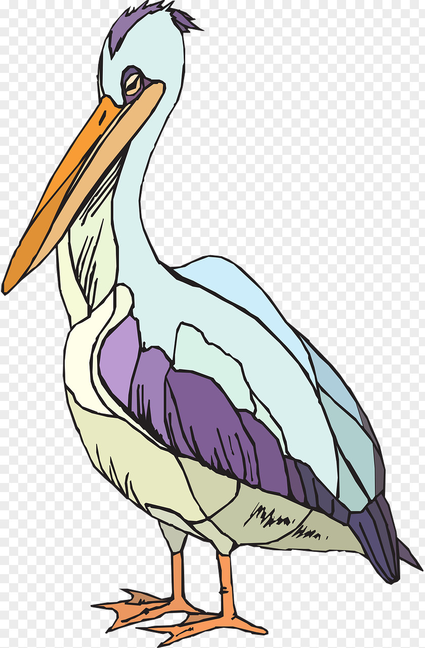 Pelikan Ag Drawing Clip Art PNG