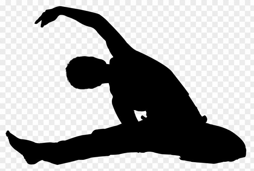 Silhouette Exercise Vector Graphics Illustration Physical Fitness PNG