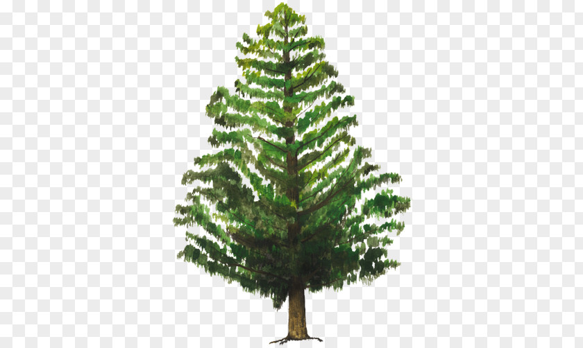 Tree Artificial Christmas Pine Douglas Fir PNG