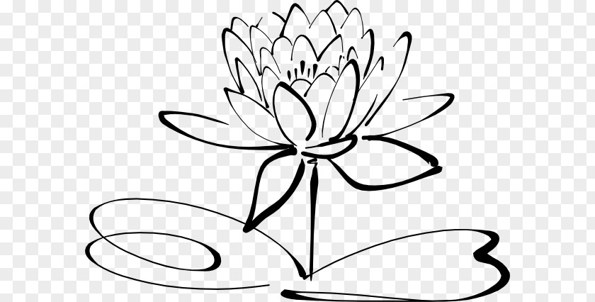 White Lotus Flower Drawing Line Art Black And Clip PNG