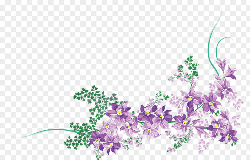 Wildflower Breckland Thyme Floral Design PNG