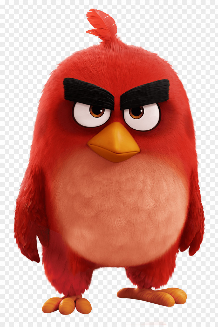 Angry Birds Movie Red Bird PNG Bird, red illustration clipart PNG