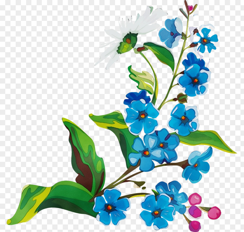 Borage Family Branch Flower Plant Clip Art Flowering Forget-me-not PNG