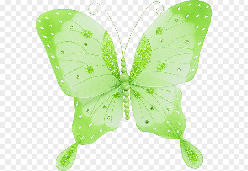 Butterfly Brush-footed Butterflies Gardening Insect PNG