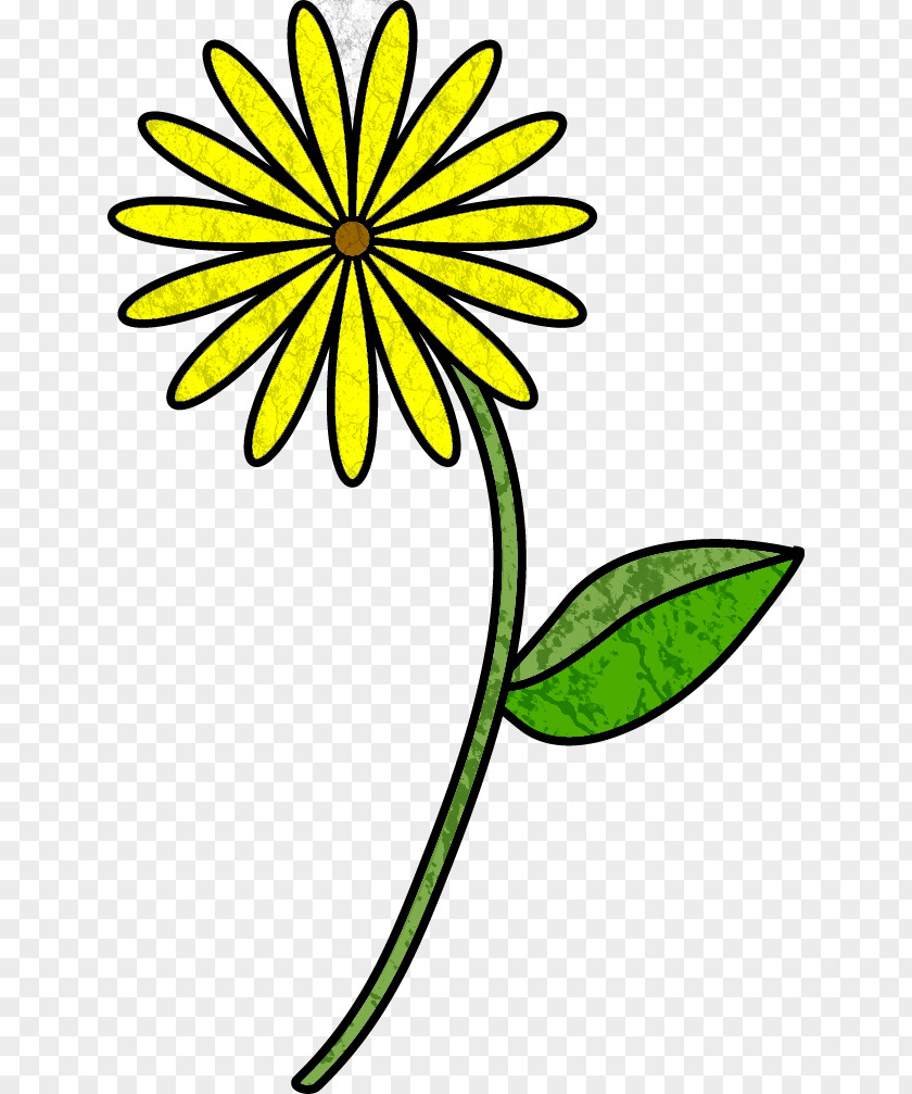 Flower Stem Template Plant Drawing Clip Art PNG