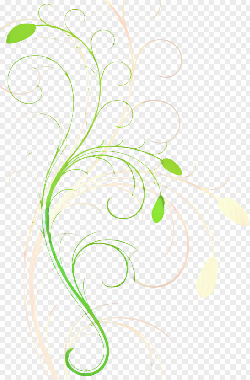 Pedicel Plant Green Leaf Background PNG