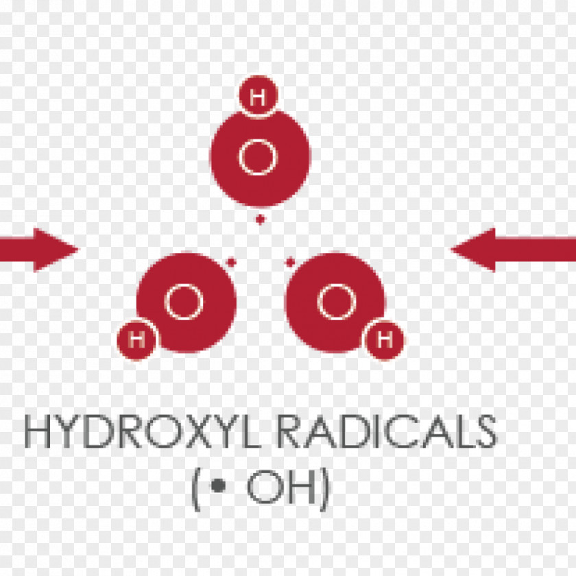 Peroxidase Hydroxyl Radical Hydroxy Group Hydrogen Molecule PNG
