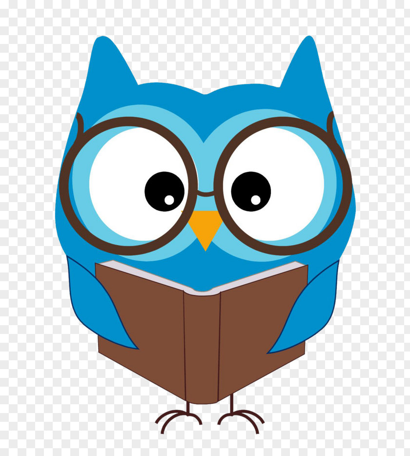 Eastern Screech Owl Turquoise Bird Silhouette PNG