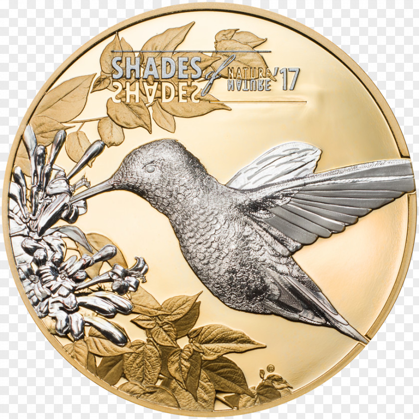 Silver Coin Cook Islands Hummingbird Gold PNG