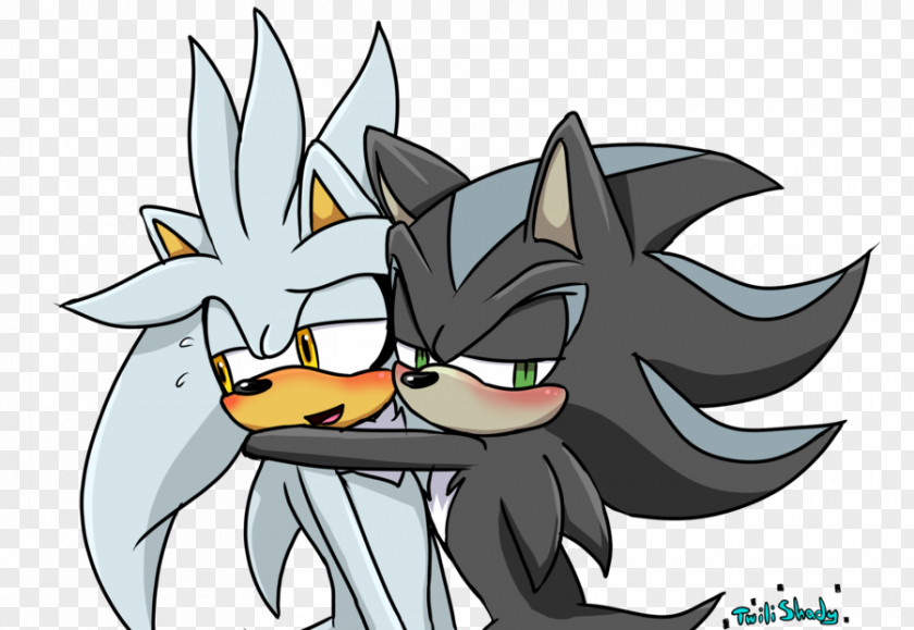 Tails Amy Rose Mephiles The Dark Silver Hedgehog Shadow PNG