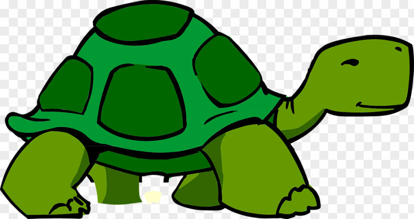 Tortoise Clip Art PNG