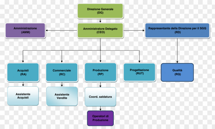 Business Organizational Chart Organisation Spa PNG