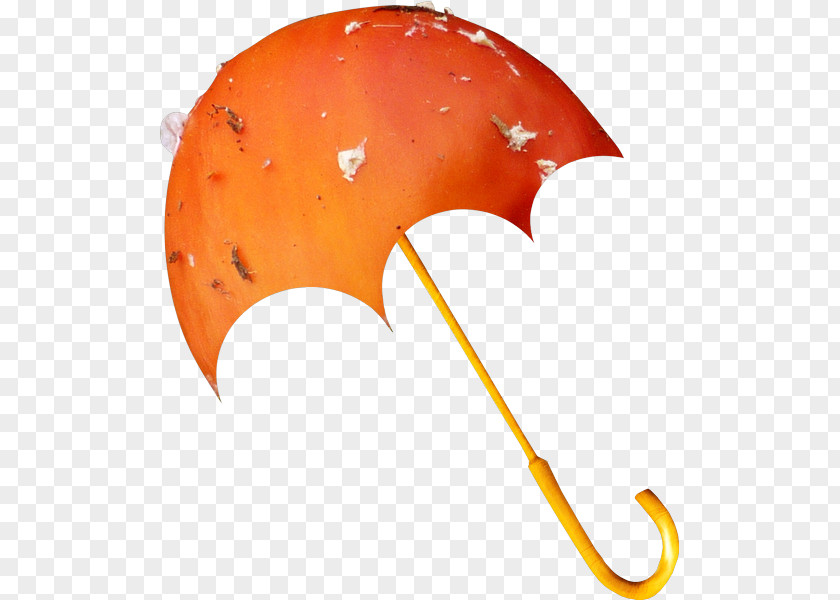 Umbrella Orange Clip Art PNG