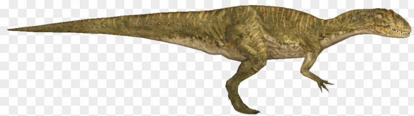 Velociraptor Animal Tyrannosaurus PNG