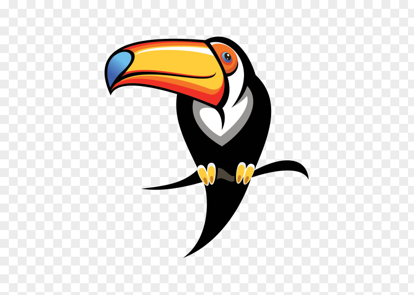 Bird Toucan Royalty-free PNG