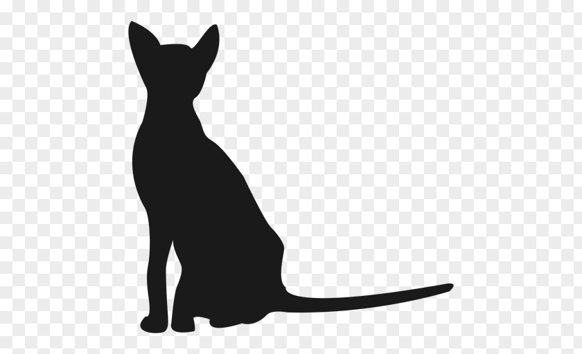 Cat Whiskers Black Silhouette Kitten PNG
