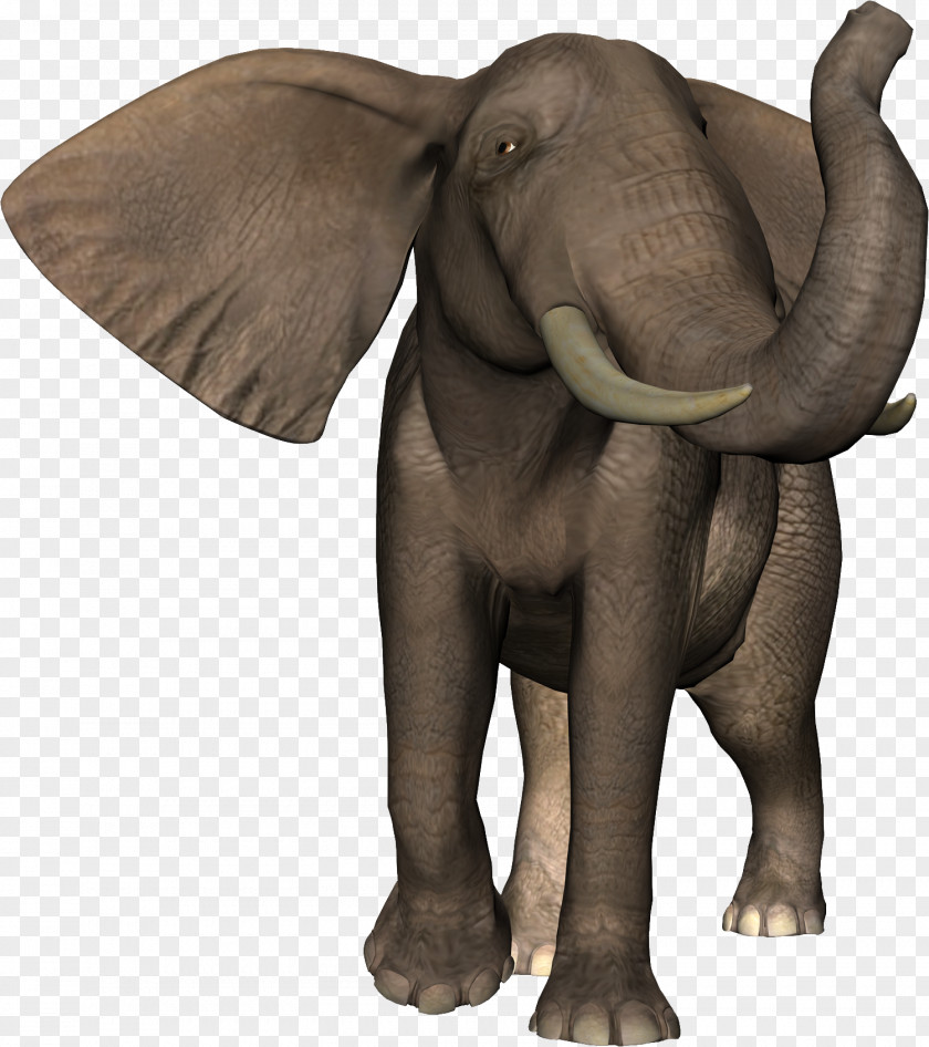 Elephant African Indian Animal Lion PNG