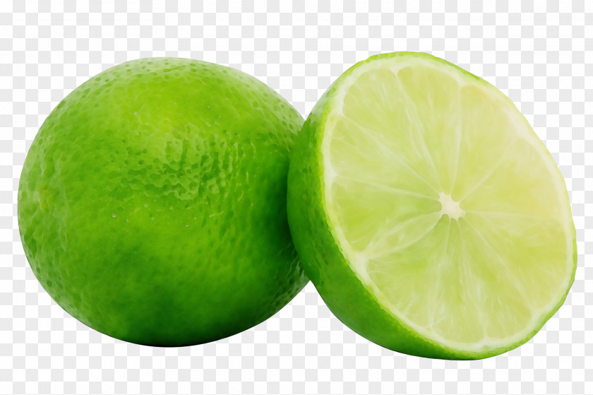 Food Plant Persian Lime Key Green Sweet Lemon PNG