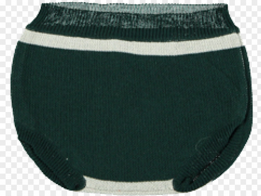 Green Stripes Briefs Underpants Teal PNG