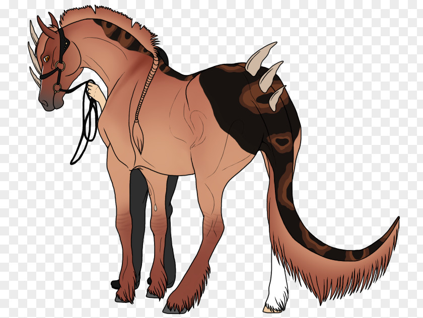 Mustang Pony Foal Art Stallion PNG