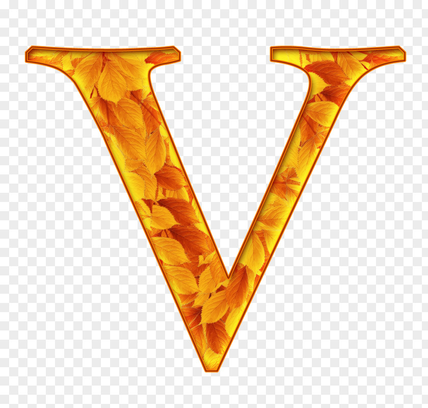 Orange Yellow PNG