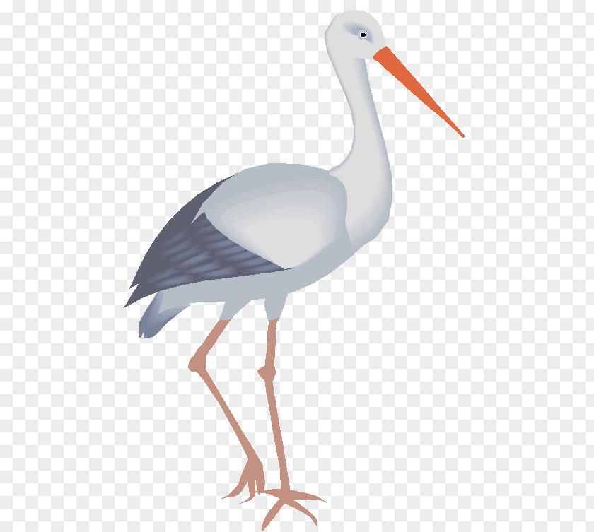 Animal Stork White Bird Drawing Desktop Wallpaper Clip Art PNG