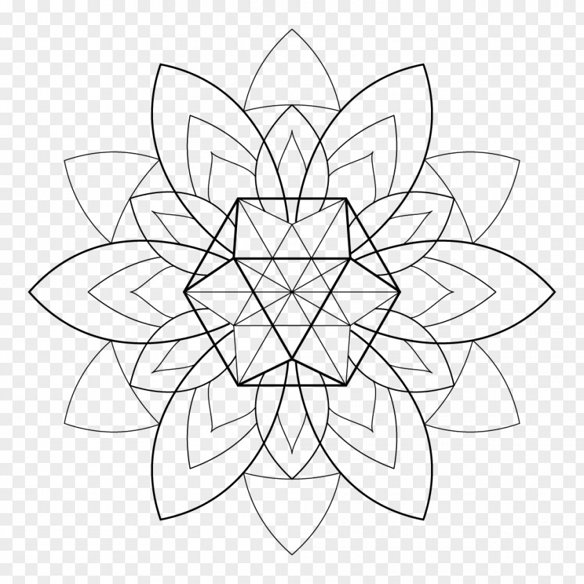 Design Floral Drawing Monochrome White Symmetry PNG