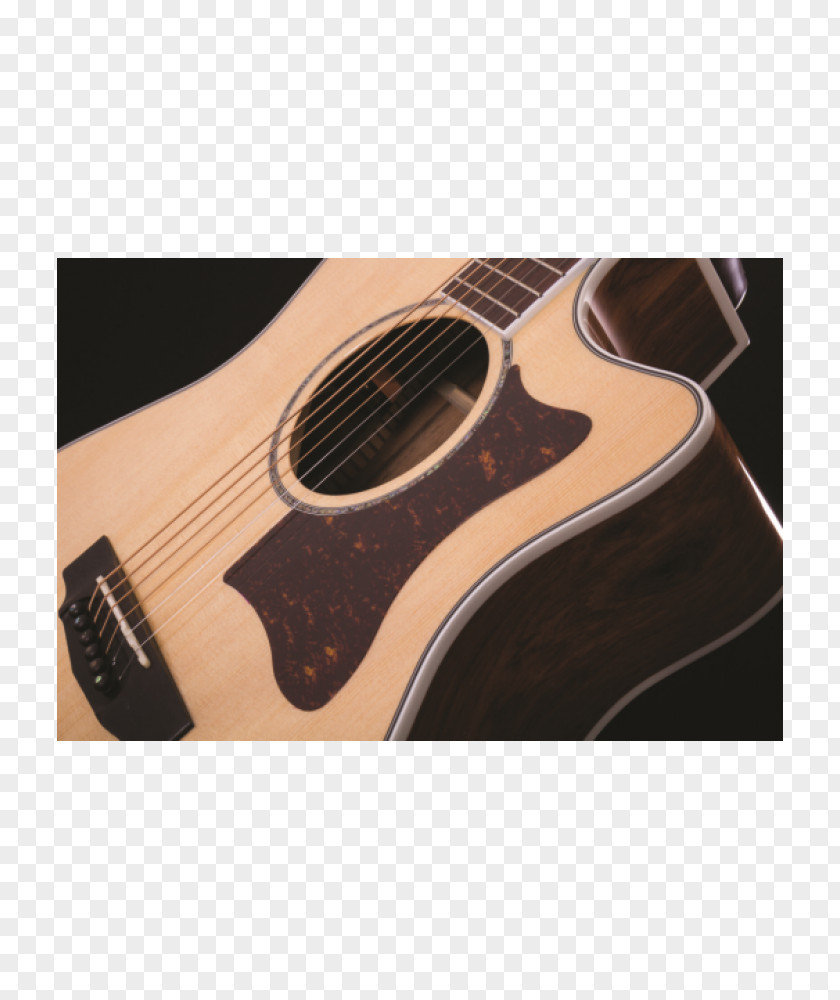 Acoustic Guitar Bass Cort Guitars Acoustic-electric PNG