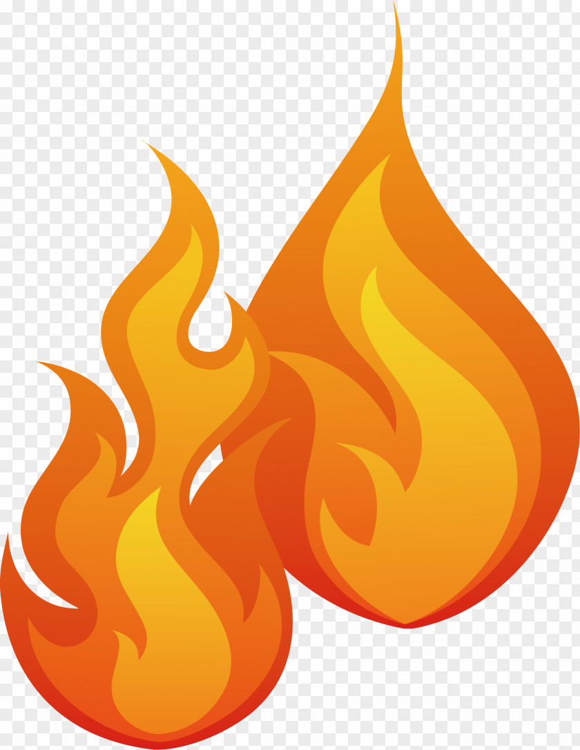 Burning Flame Combustion Fire Clip Art PNG