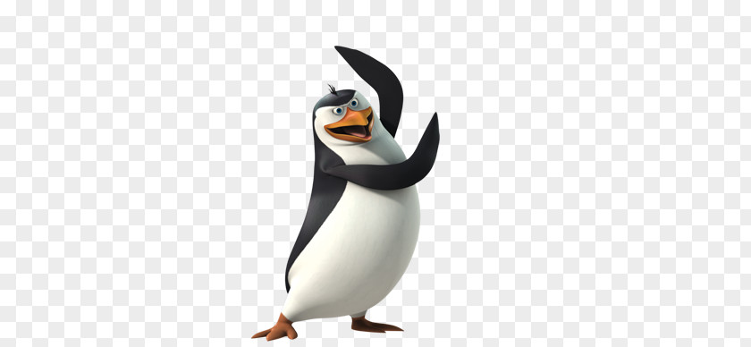 Madagascar Penguins PNG penguins clipart PNG