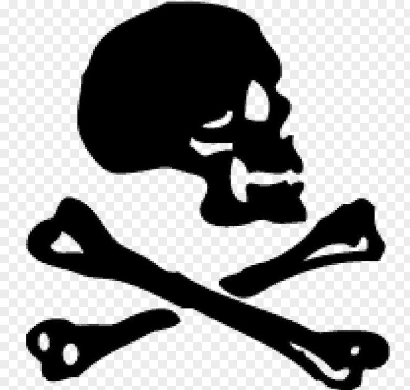 T-shirt Piracy International Talk Like A Pirate Day PNG