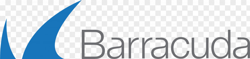 Barracuda Networks Computer Software Security Network Denial-of-service Attack PNG