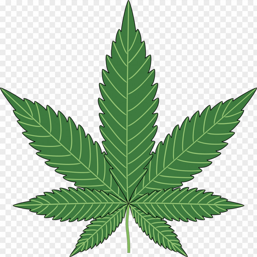 Cannabis Sativa Drug Smoking PNG