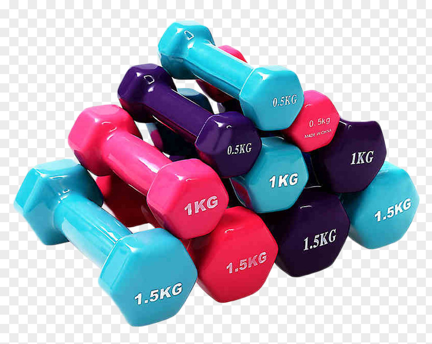 Dumbbell Physical Exercise Fitness Bodybuilding Barbell PNG
