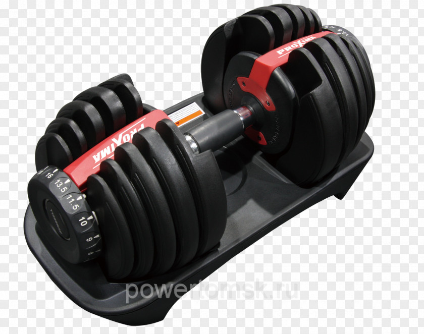 Dumbbells Dumbbell Exercise Machine Barbell Elliptical Trainers Equipment PNG