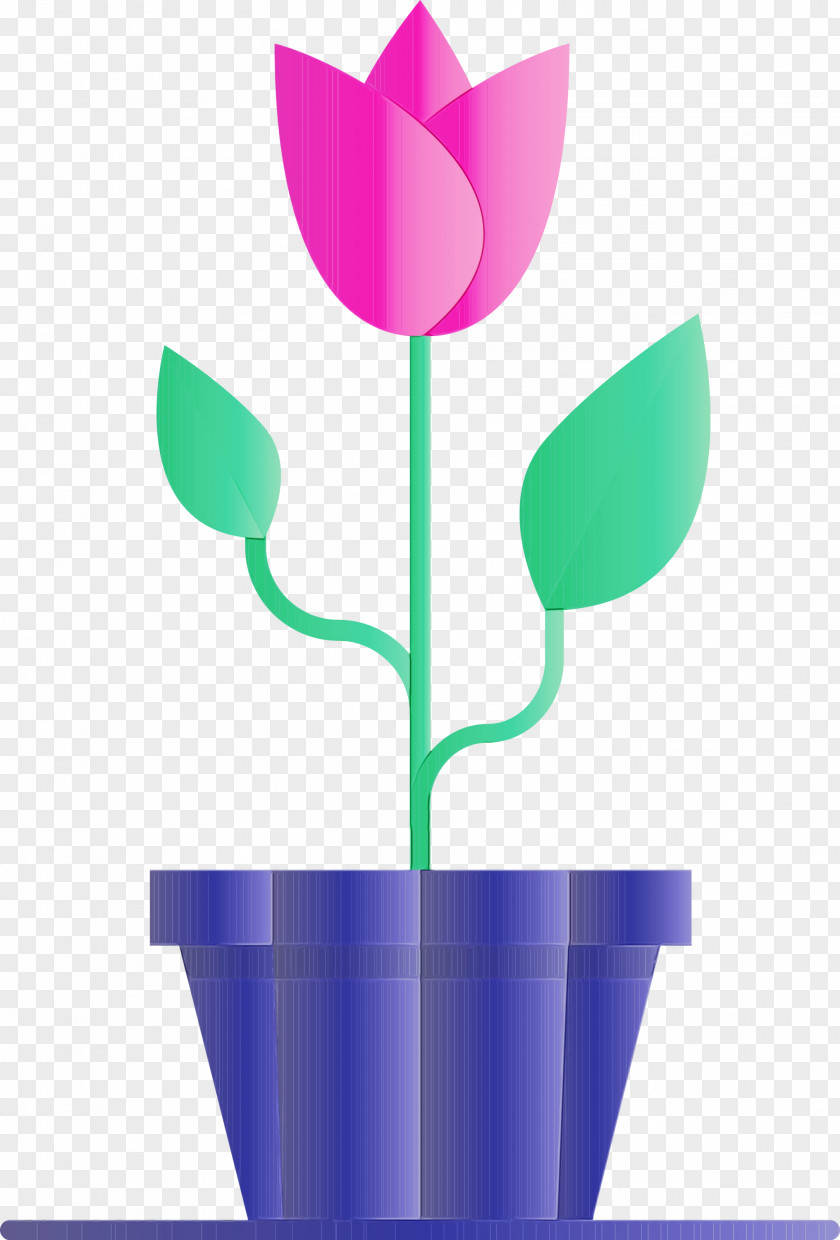 Flowerpot Tulip Plant Flower Stem PNG