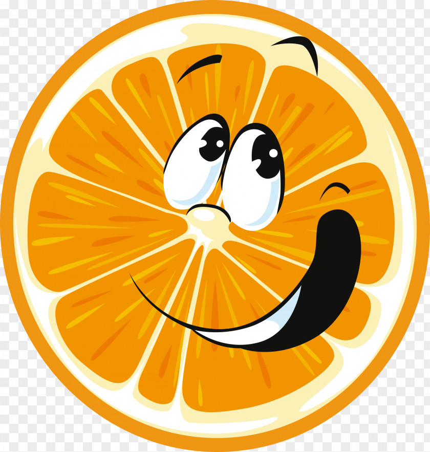 Orange Fruit Mandarin Vegetable Juice PNG
