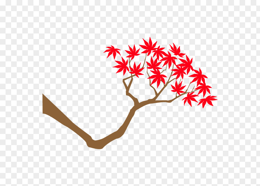 Twig Clip Art Plant Stem Leaf Line PNG