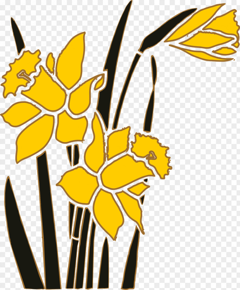 Daffodil Narcissus Flower Clip Art PNG