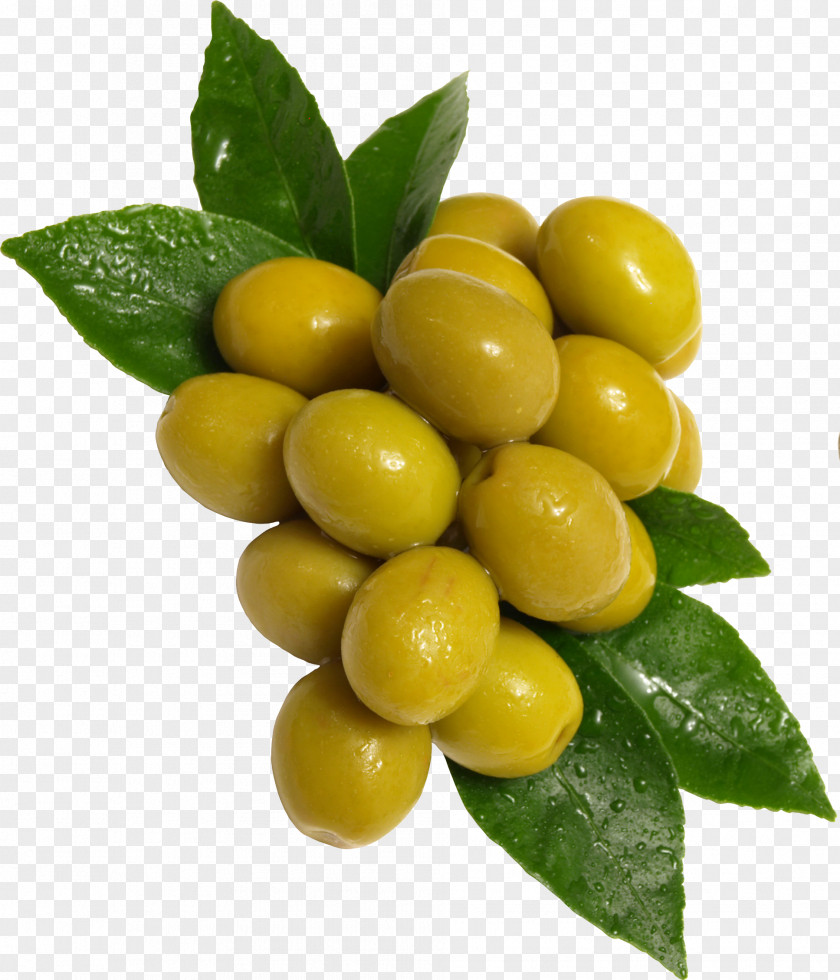 Green Olives Olive Fruit PNG