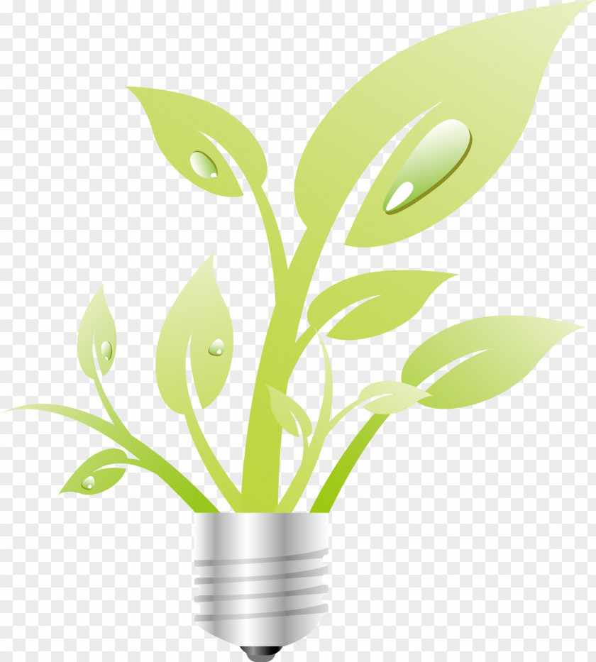 Plant Green Icon PNG
