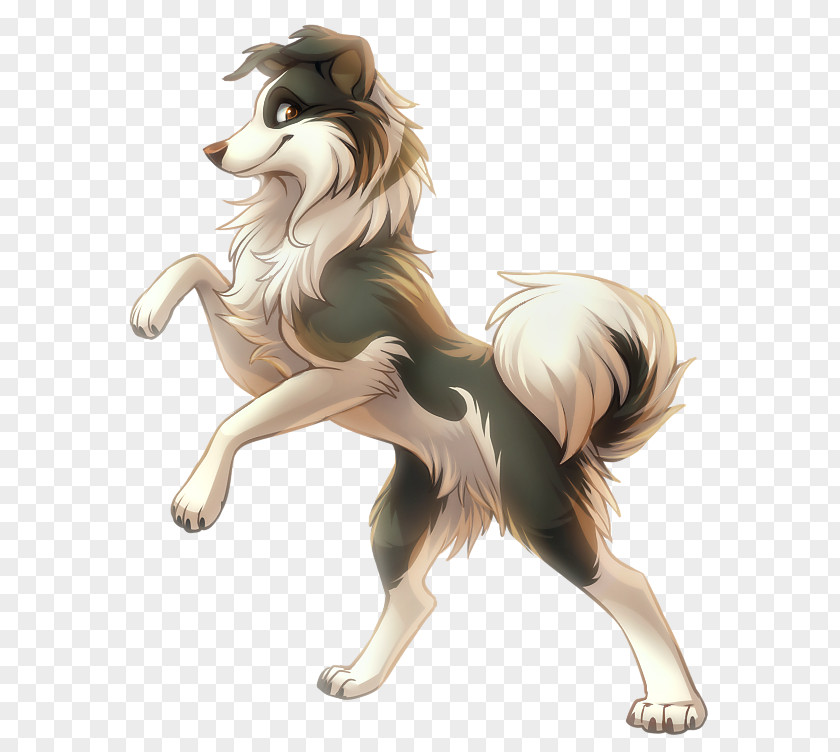 Puppy Rough Collie Border Cat Drawing PNG