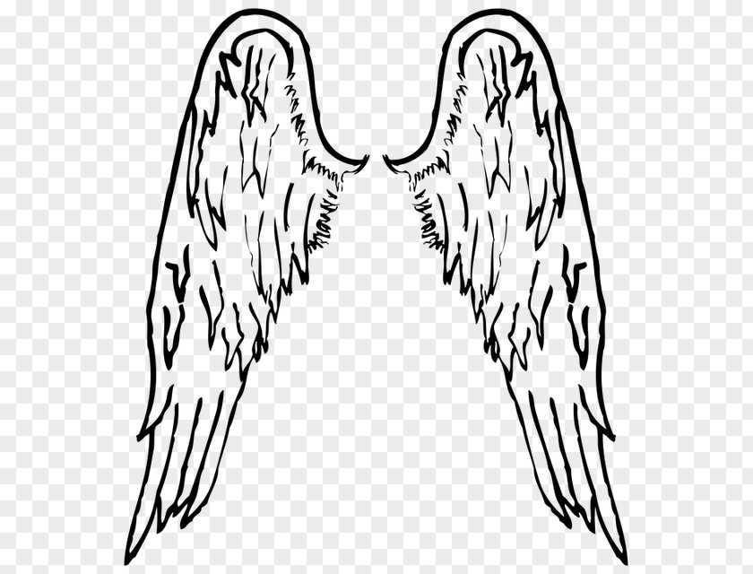 Angels Vector Angel Line Art Clip PNG
