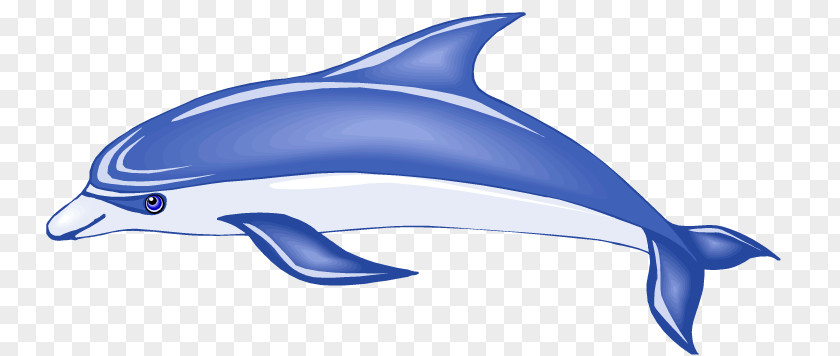 Dolphin Cliparts Royalty-free Clip Art PNG