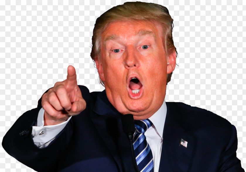 Donald Trump United States Poster Standee Easel PNG