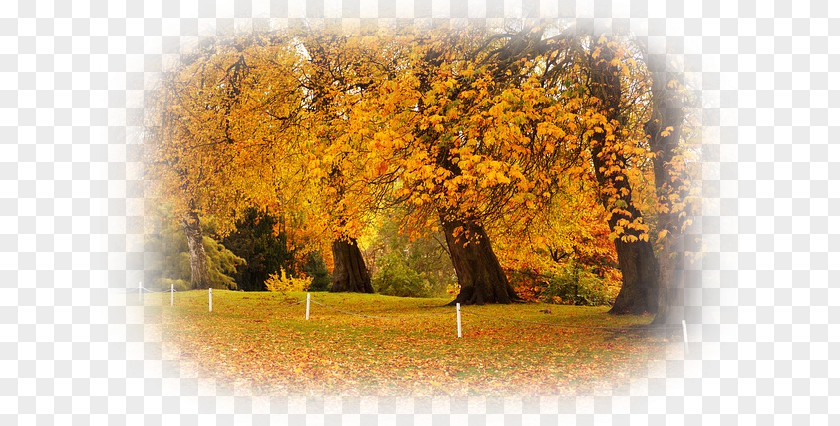 NATURAL LANDSCAPE Shenandoah National Park Golden Gate Amusement PNG