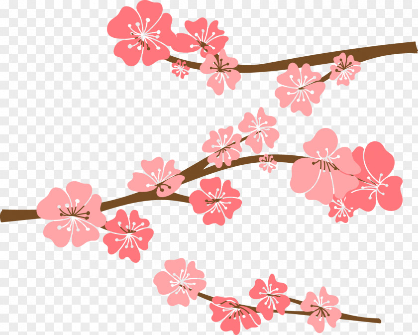 Vector Hand-painted Cherry Blossom Drawing PNG
