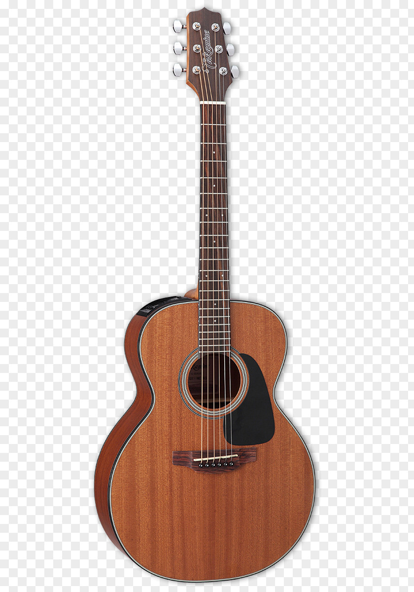 Acoustic Guitar Twelve-string Takamine Guitars Acoustic-electric PNG