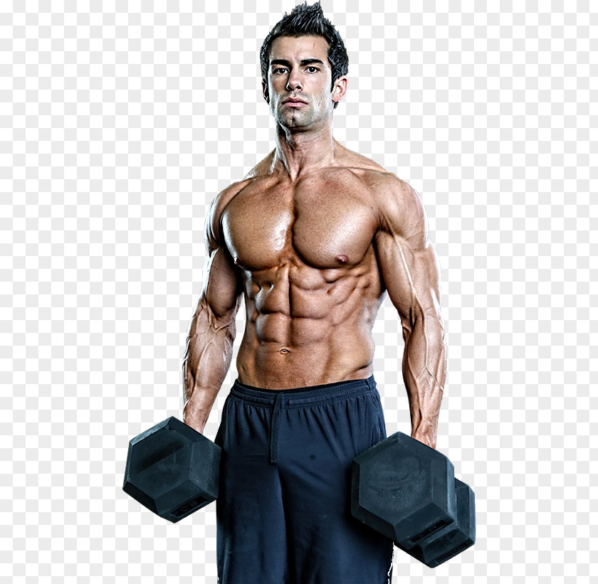 Bodybuilding Dietary Supplement Human Body Exercise Muscle PNG