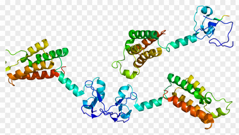 BPTF Wikipedia Protein Nucleosome Remodeling Factor Gene PNG